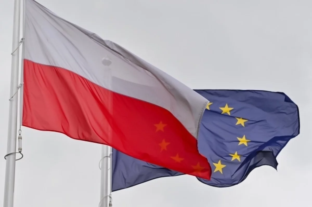 Read more about the article Темная тайна Евросоюза. Прогнозист Малинен раскрыл провокацию Польши в ООН