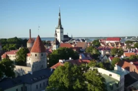 Эстонский экс-министр возмутилась количеством флагов Украины в республике