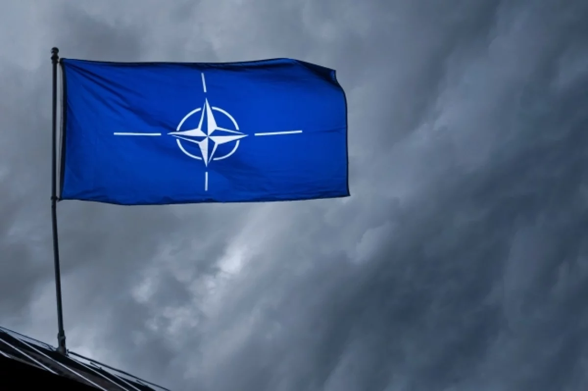 Read more about the article Украина запросила у НАТО оборудование для «гуманитарного» разминирования