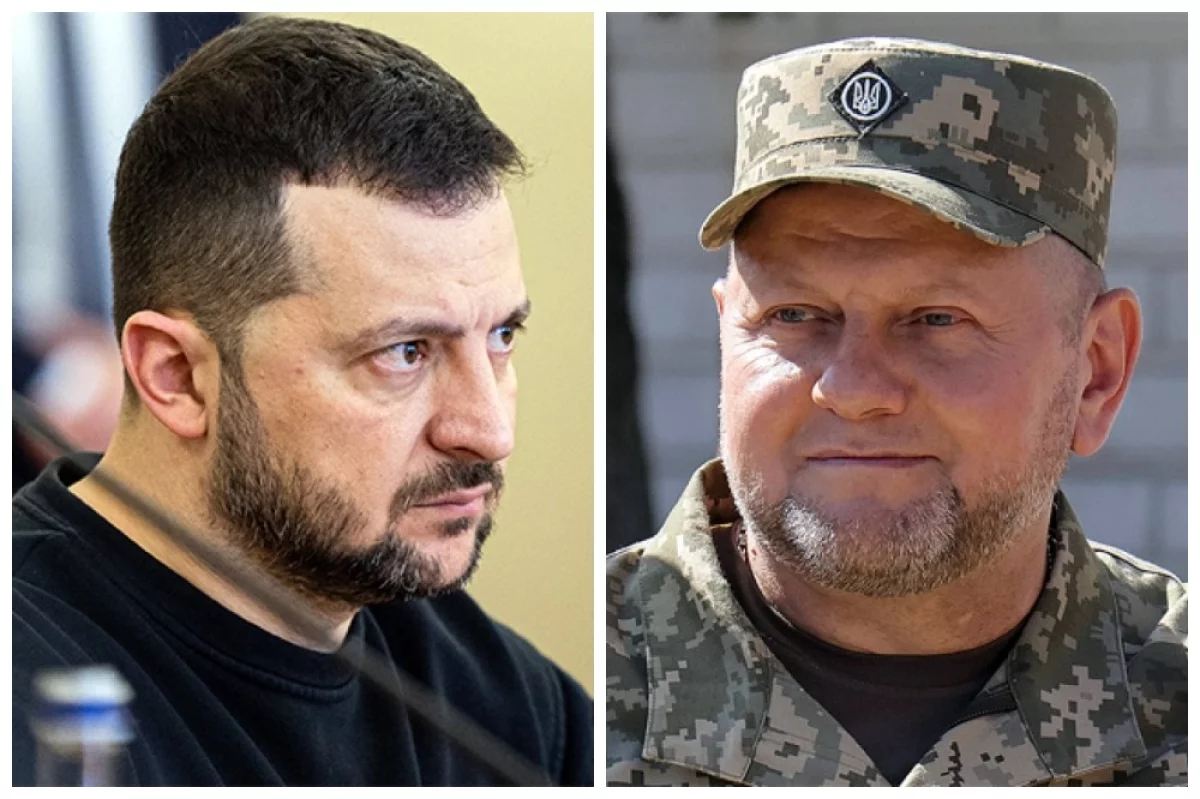 Read more about the article «Выводят крысоеда». Залужный выступил с ужасающим для Зеленского заявлением